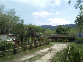  Land for sale in Phuket International Airport, Mai Khao, Thep Krasattri