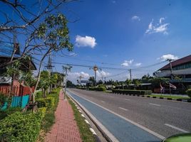  Grundstück zu verkaufen in Mueang Chiang Mai, Chiang Mai, Mae Hia
