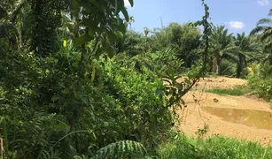 N/A Grundstück zu verkaufen in Bang Phra Nuea, Ranong 