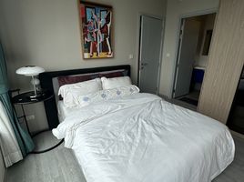 2 Schlafzimmer Appartement zu vermieten im XT Ekkamai, Khlong Tan Nuea, Watthana, Bangkok