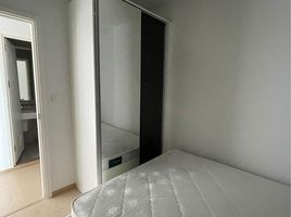 คอนโด 2 ห้องนอน ให้เช่า ในโครงการ เดอะทรี สุขุมวิท 71 – เอกมัย, สวนหลวง