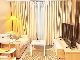 1 Bedroom Condo for rent at The Parkland Srinakarin Lakeside, Samrong Nuea, Mueang Samut Prakan, Samut Prakan