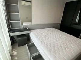 1 Schlafzimmer Wohnung zu vermieten im Life Ladprao, Chomphon, Chatuchak