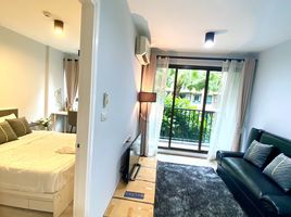 1 Bedroom Condo for rent at ZCAPE III, Wichit, Phuket Town