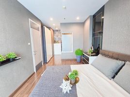 1 Schlafzimmer Wohnung zu vermieten im Supalai Premier Asoke, Bang Kapi