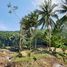  Land for sale in Maenam, Koh Samui, Maenam