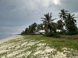  Grundstück zu verkaufen in Thap Sakae, Prachuap Khiri Khan, Na Hu Kwang