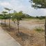  Land for sale in Mueang Pathum Thani, Pathum Thani, Bang Khu Wat, Mueang Pathum Thani