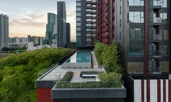 Photo 1 of the Communal Pool at Life Asoke Hype