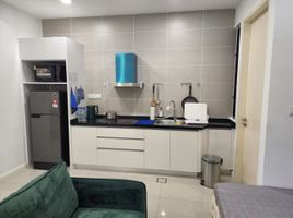 Studio Condo for rent at Claymore Hill, Boulevard, Orchard, Central Region