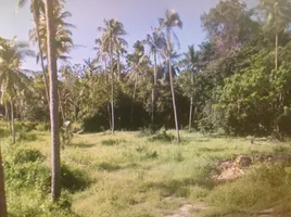  Land for sale in Laem Sor, Taling Ngam, Na Mueang
