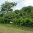  Land for sale in Nicoya Guanacaste, Nicoya, Guanacaste