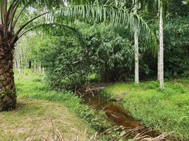  Grundstück zu verkaufen in Thalang, Phuket, Thep Krasattri, Thalang