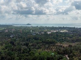  Land for sale in Ang Thong, Koh Samui, Ang Thong