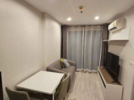 1 Bedroom Condo for rent at Ideo Mobi Bangsue Grand Interchange, Bang Sue, Bang Sue, Bangkok