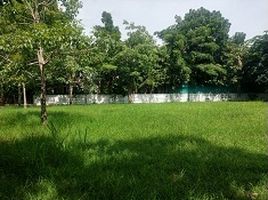  Grundstück zu verkaufen im Noble Wana Pinklao , Sala Thammasop