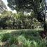  Land for sale in Dota San Jose, Dota, San Jose