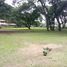  Land for sale in Chang Khlan, Chiang Mai, Chang Khlan