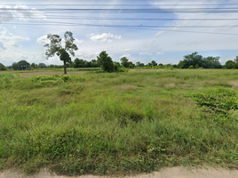 Grundstück zu verkaufen in Nong Ya Sai, Suphan Buri, Nong Ratchawat, Nong Ya Sai