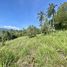  Land for sale in Koh Samui, Taling Ngam, Koh Samui