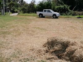  Grundstück zu verkaufen in Mueang Nakhon Ratchasima, Nakhon Ratchasima, Nong Rawiang