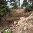  Land for sale in Koh Phangan, Surat Thani, Koh Phangan, Koh Phangan
