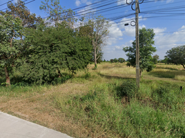  Grundstück zu verkaufen in Nam Phong, Khon Kaen, Nam Phong, Nam Phong