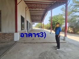  Warehouse for rent in Phra Nakhon Si Ayutthaya, Suan Phrik, Phra Nakhon Si Ayutthaya, Phra Nakhon Si Ayutthaya