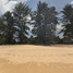  Land for sale in Mai Khao, Phuket, Mai Khao