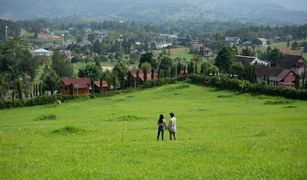 N/A Grundstück zu verkaufen in Khaem Son, Phetchabun 