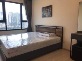 2 Schlafzimmer Appartement zu vermieten im Life Asoke, Bang Kapi