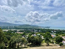  Grundstück zu verkaufen in Koh Samui, Surat Thani, Bo Phut