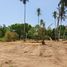  Land for sale in Thalang, Phuket, Mai Khao, Thalang