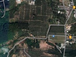  Land for sale in Thalang, Phuket, Si Sunthon, Thalang