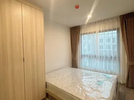 1 Bedroom Condo for rent at Hi Kaset-Senanikom, Sena Nikhom