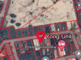  Land for sale in Chiang Mai, Pa Tan, Mueang Chiang Mai, Chiang Mai