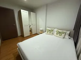 คอนโด 1 ห้องนอน ให้เช่า ในโครงการ เดอะ เบส สุขุมวิท 77, พระโขนงเหนือ