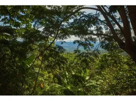 4 Schlafzimmer Haus zu verkaufen im Manuel Antonio, Aguirre, Puntarenas