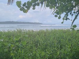  Grundstück zu verkaufen in Padang Pariaman, West Sumatera, Sipora