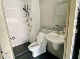 Studio Apartment for rent at D Condo Kathu, Kathu, Kathu