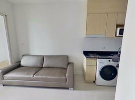 1 Bedroom Condo for rent at Ideo Verve Sukhumvit, Phra Khanong Nuea