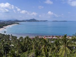  Grundstück zu verkaufen in Koh Samui, Surat Thani, Bo Phut