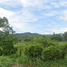  Land for sale in Thep Krasattri, Thalang, Thep Krasattri