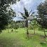  Land for sale in Koh Samui Surat Thani, Maret
