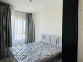 1 Schlafzimmer Appartement zu vermieten im Niche MONO Mega Space Bangna, Bang Kaeo, Bang Phli