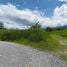  Land for sale in Mae Rim Chiang Mai, Don Kaeo, Mae Rim, Chiang Mai, Thailand