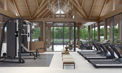 Фото 2 of the Communal Gym at The Ozone Villas