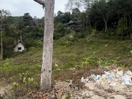  Grundstück zu verkaufen in Kathu, Phuket, Kamala, Kathu, Phuket