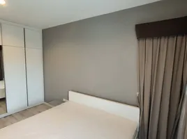 2 Bedroom Condo for rent at North 5 Condo Chiangmai, Suthep, Mueang Chiang Mai