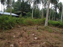  Land for sale in Thalang, Phuket, Pa Khlok, Thalang